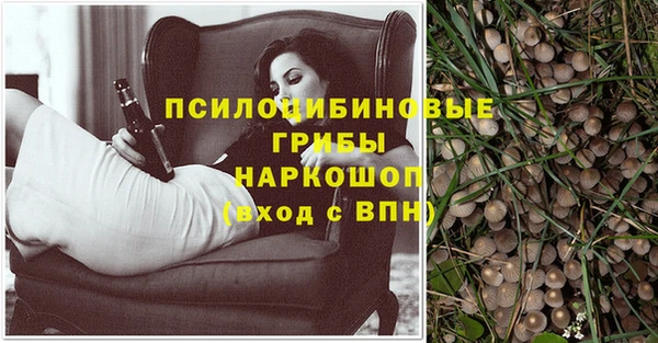 Альфа ПВП Медногорск