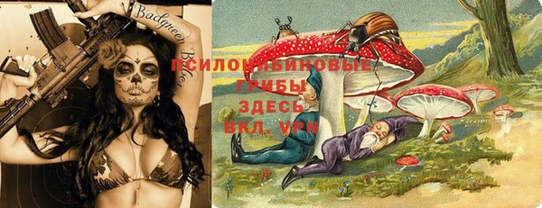 марки nbome Медвежьегорск