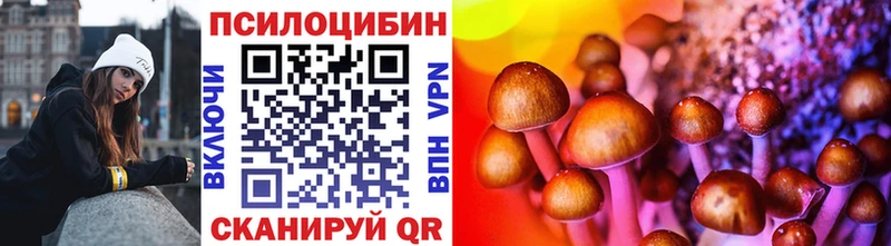 hydra рабочий сайт  закладка  Троицк  сайты даркнета как зайти  Псилоцибиновые грибы Psilocybine cubensis 