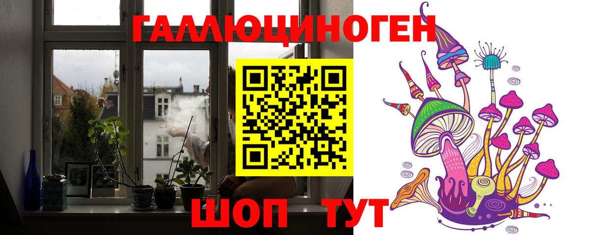 Троицк  Галлюциногенные грибы Psilocybine cubensis  Вход с VPN 