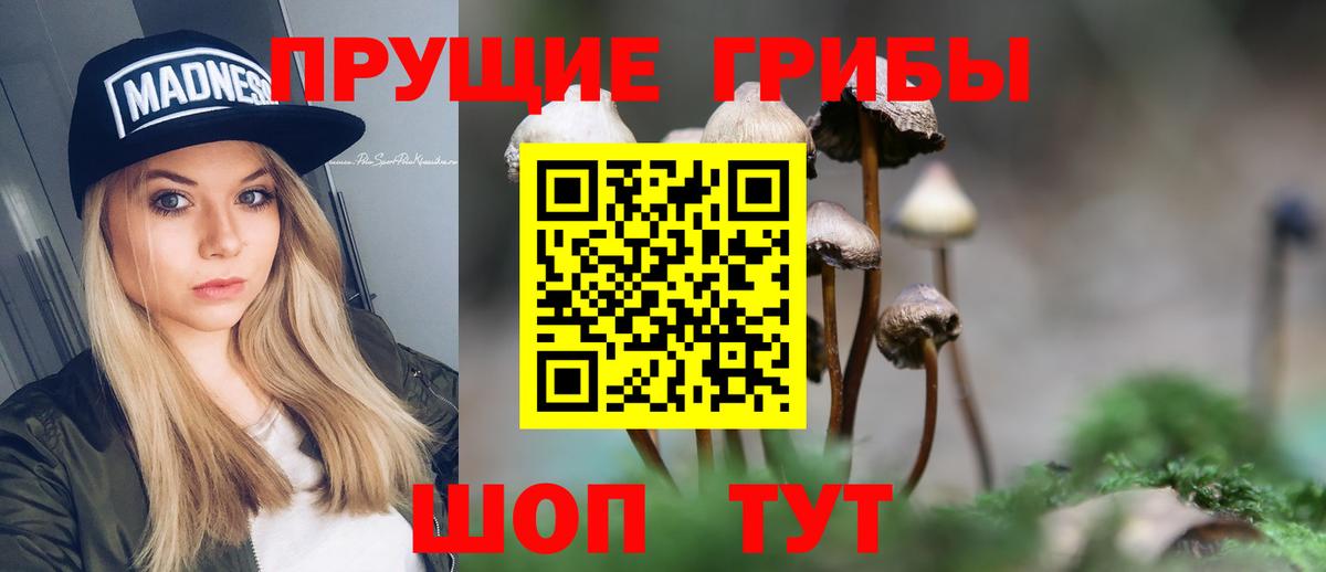 Галлюциногенные грибы GOLDEN TEACHER Троицк